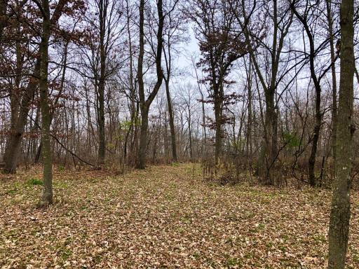 TBD 200 Gunflint Rd, Chatfield, MN 55923