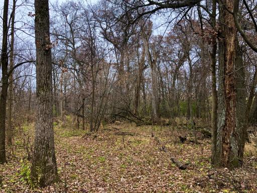 TBD 200 Gunflint Rd, Chatfield, MN 55923