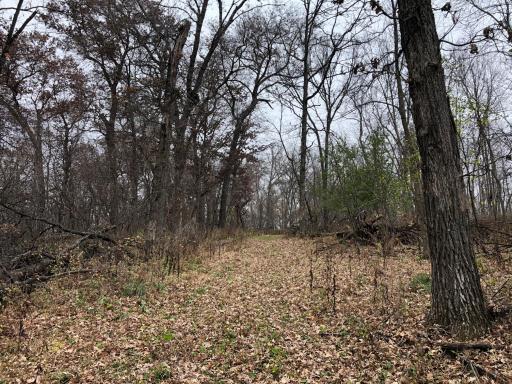 TBD 200 Gunflint Rd, Chatfield, MN 55923