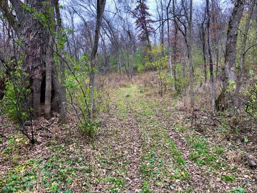 TBD 200 Gunflint Rd, Chatfield, MN 55923