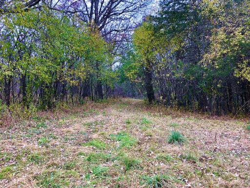 TBD 200 Gunflint Rd, Chatfield, MN 55923