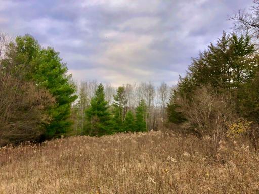 TBD 200 Gunflint Rd, Chatfield, MN 55923