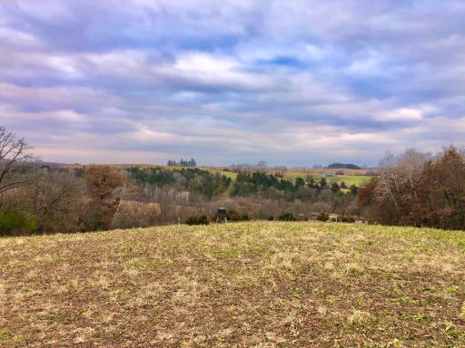 TBD 200 Gunflint Rd, Chatfield, MN 55923