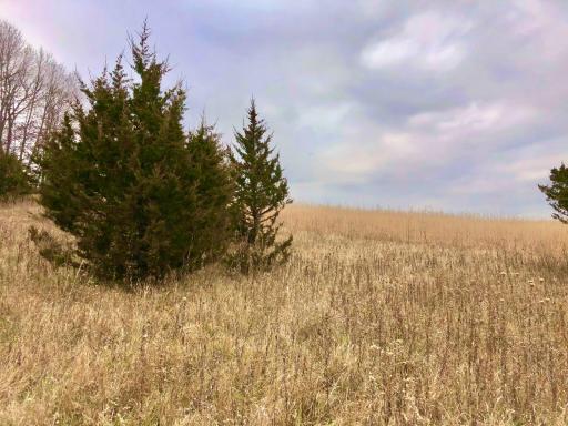 TBD 200 Gunflint Rd, Chatfield, MN 55923