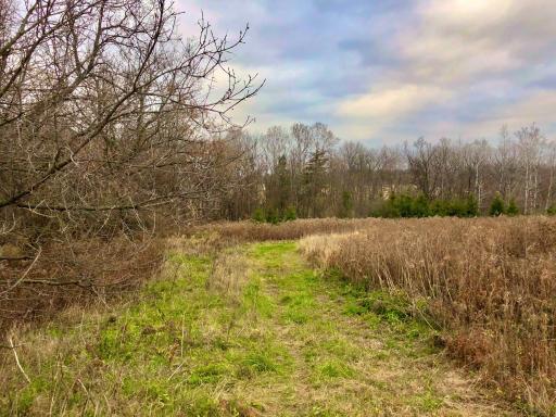TBD 200 Gunflint Rd, Chatfield, MN 55923