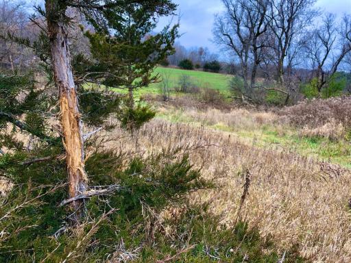TBD 200 Gunflint Rd, Chatfield, MN 55923