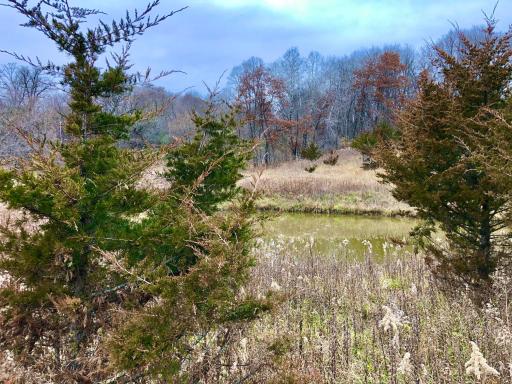 TBD 200 Gunflint Rd, Chatfield, MN 55923