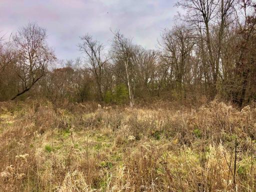 TBD 200 Gunflint Rd, Chatfield, MN 55923
