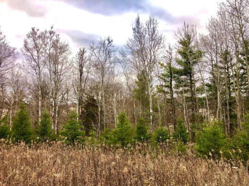 TBD 200 Gunflint Rd, Chatfield, MN 55923