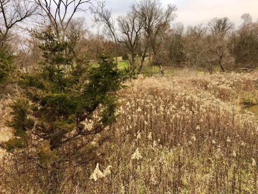 TBD 200 Gunflint Rd, Chatfield, MN 55923