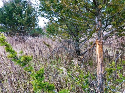 TBD 200 Gunflint Rd, Chatfield, MN 55923