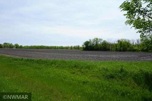 TBD State 59 Highway, Plummer, MN 56748