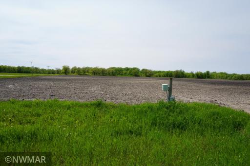 TBD State 59 Highway, Plummer, MN 56748