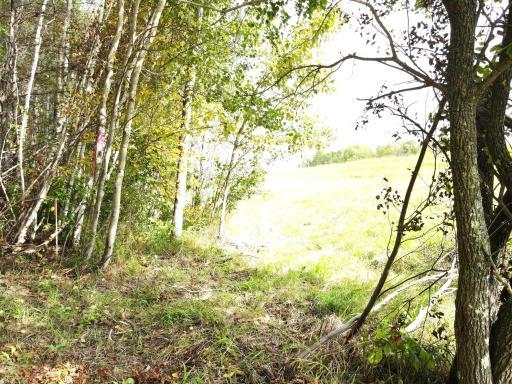 Recently surveyed.jpg