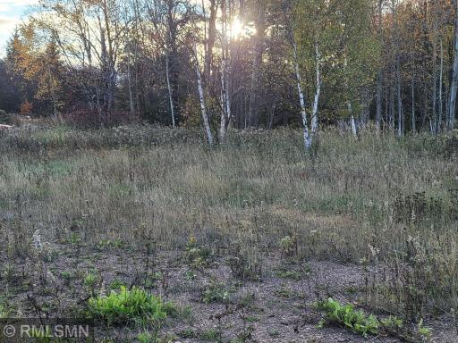 Commercial/Industrial Lot