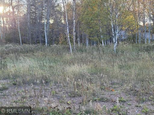 Commercial/Industrial Lot