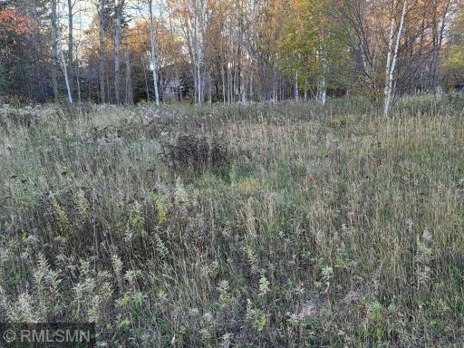 Commercial/Industrial Lot