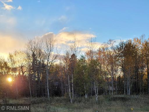 Commercial/Industrial Lot