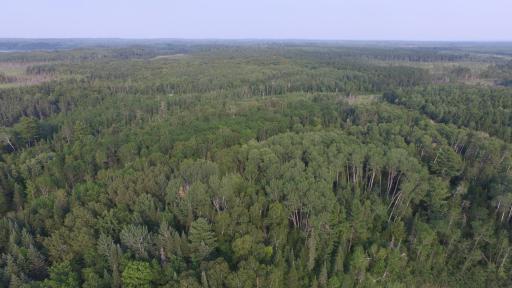 xx 3.3 S Pickerel Lake Road, Effie, MN 56639