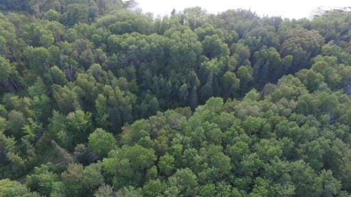 xx 3.3 S Pickerel Lake Road, Effie, MN 56639