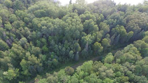 xx 3.3 S Pickerel Lake Road, Effie, MN 56639