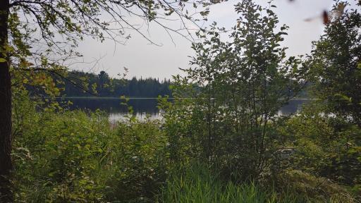 Photo for xx 3.3 S Pickerel Lake Road, Effie, MN 56639 - Listing #5735447 xx 3.3 S Pickerel Lake Road, Effie, MN 56639