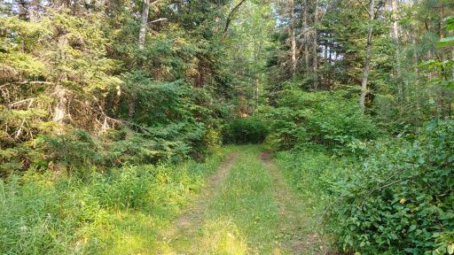 Photo for xx 3.3 S Pickerel Lake Road, Effie, MN 56639 - Listing #5735447 xx 3.3 S Pickerel Lake Road, Effie, MN 56639