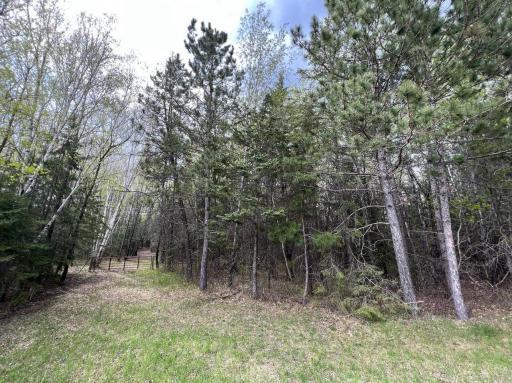 Lot 5 snowmobile trail.jpg