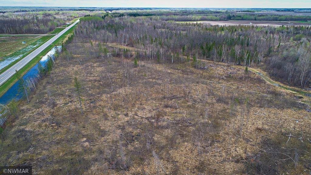 TBD State Hwy 172 Cliff, Baudette, MN 56623