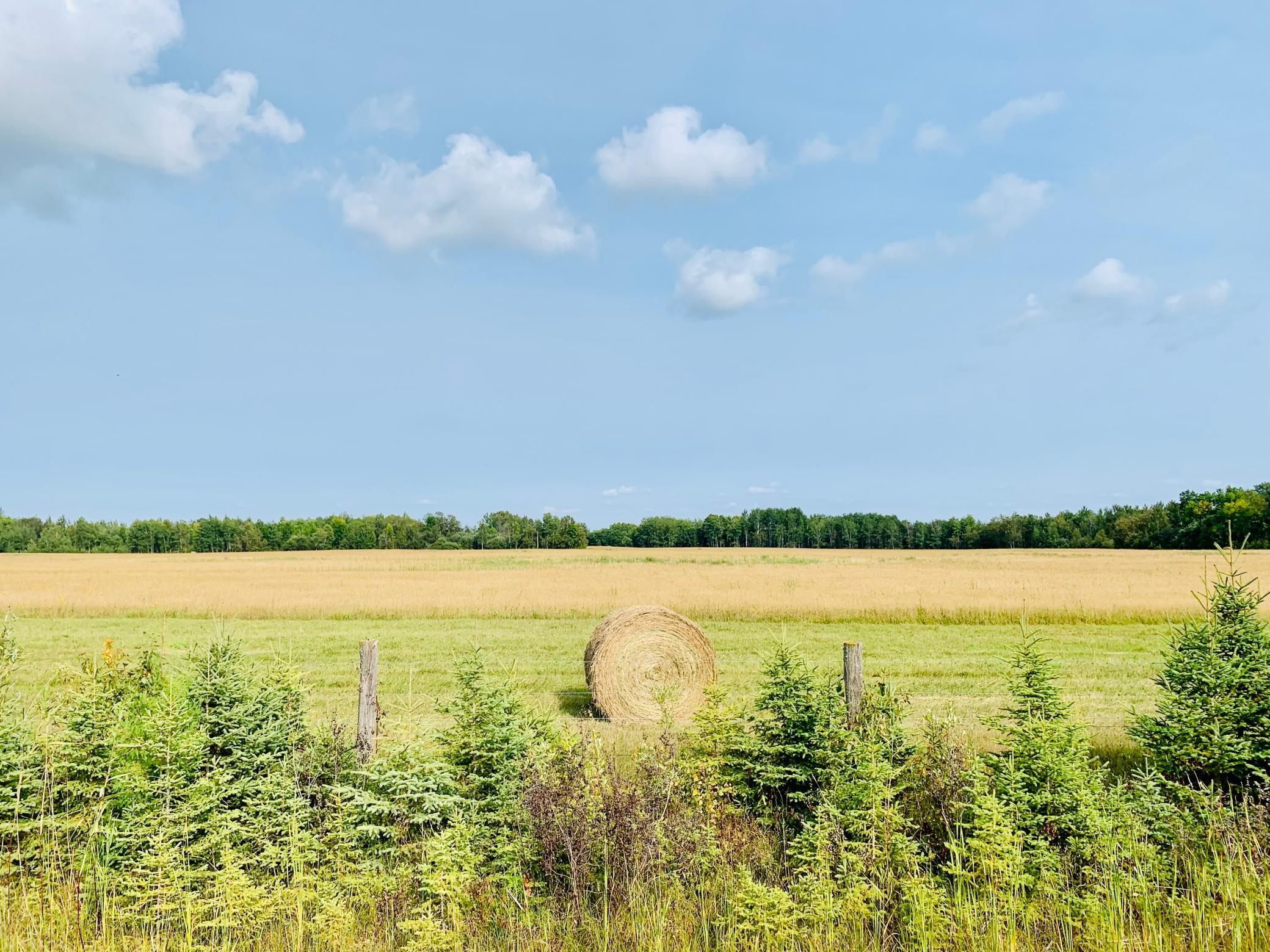 Photo for TBD 54th Ave NW, Williams, MN 56686 - Listing #6323475 TBD 54th Ave NW, Williams, MN 56686