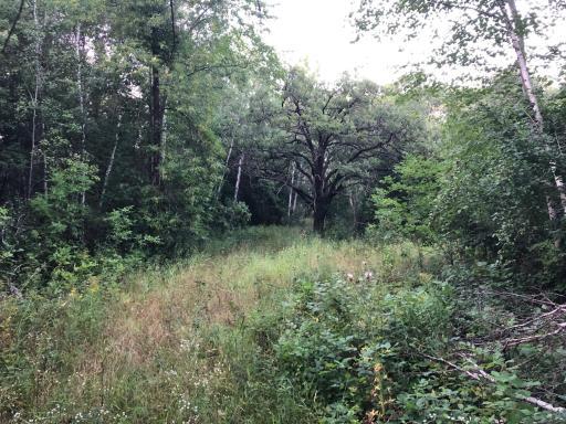 Photo for 6002 Scenic View Court, Kimball, MN 55353 - Listing #6252492 6002 Scenic View Court, Kimball, MN 55353