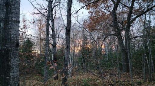 Mike and Amanda 1.jpg