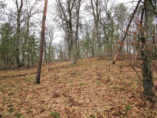 .6 Acre Wooded Lot In Voyager Village Overlooking Culbertson Creek