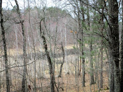 .6 Acre Wooded Lot In Voyager Village Overlooking Culbertson Creek