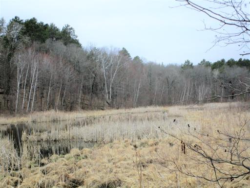 .6 Acre Wooded Lot In Voyager Village Overlooking Culbertson Creek