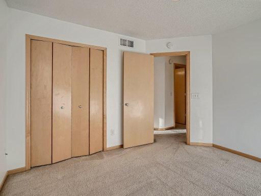 6891 Pine Crest Trail Cottage Grove MN - MLS Sized - 017 - 23 2nd Floor Primary Bedroom