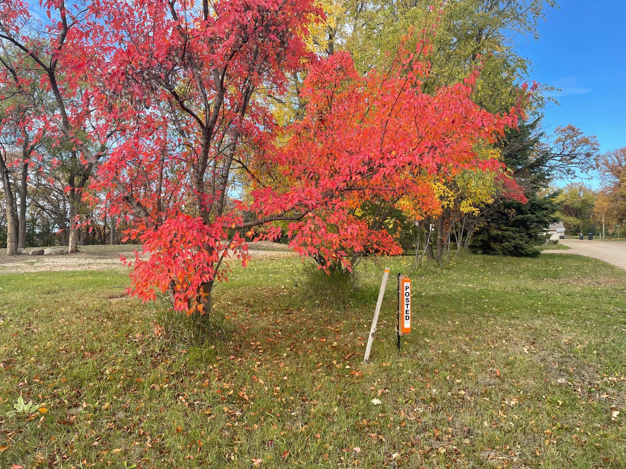 15 10th Street NE Pic 2.jpg