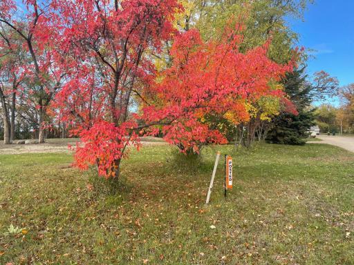 15 10th Street NE Pic 2.jpg