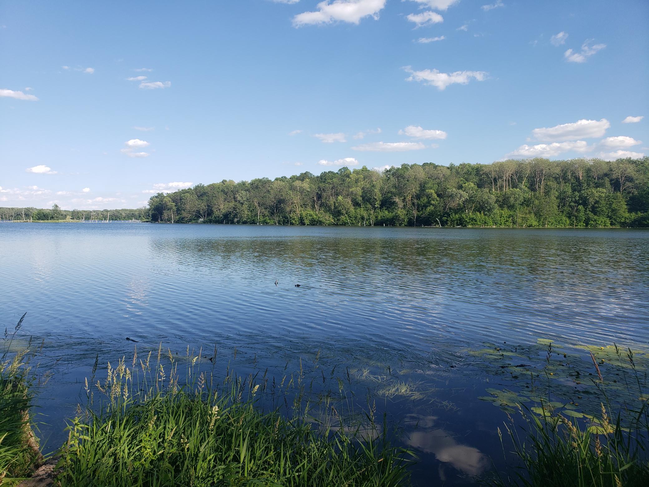 20220622_180130.jpg