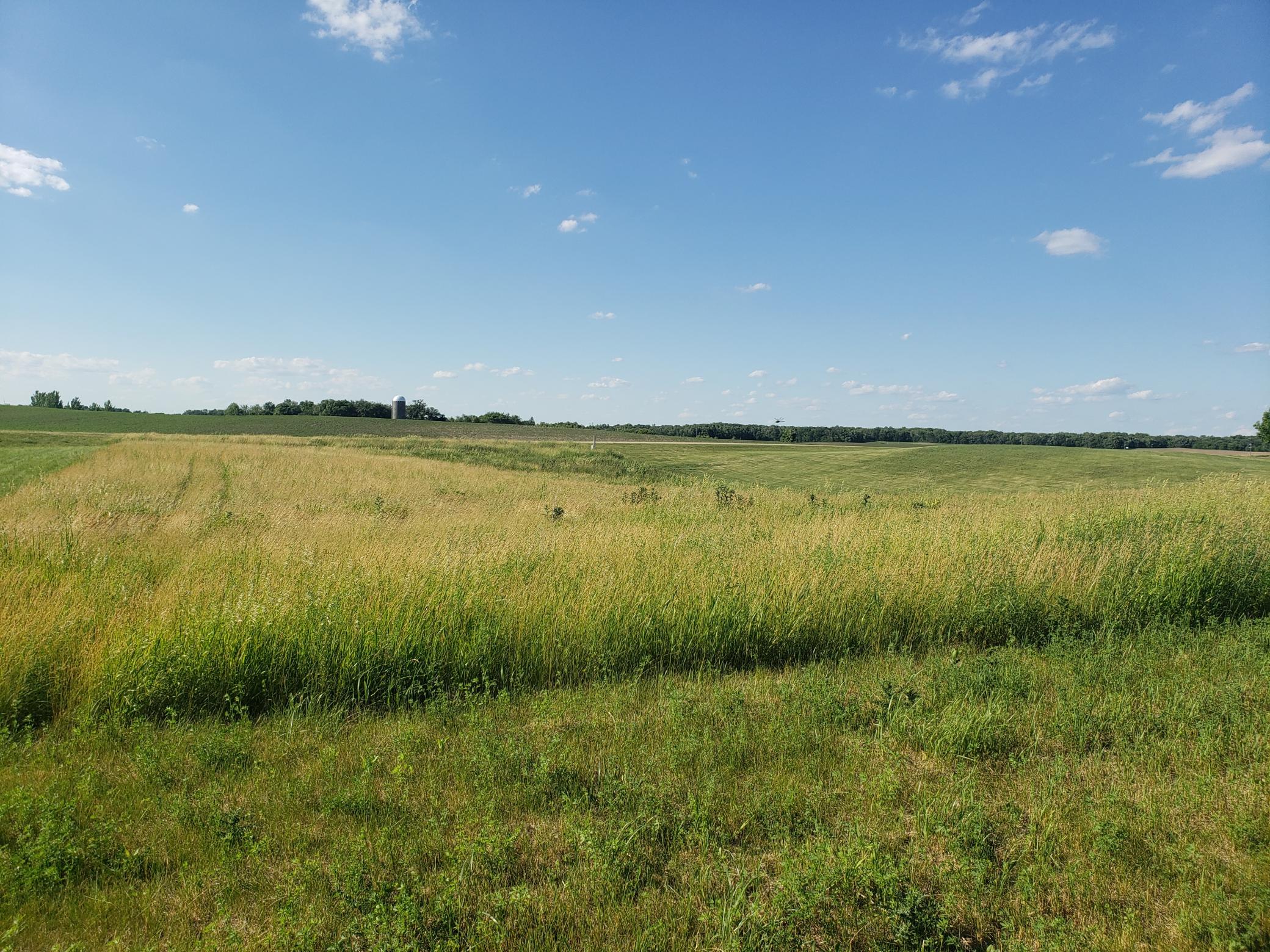 20220622_180517.jpg