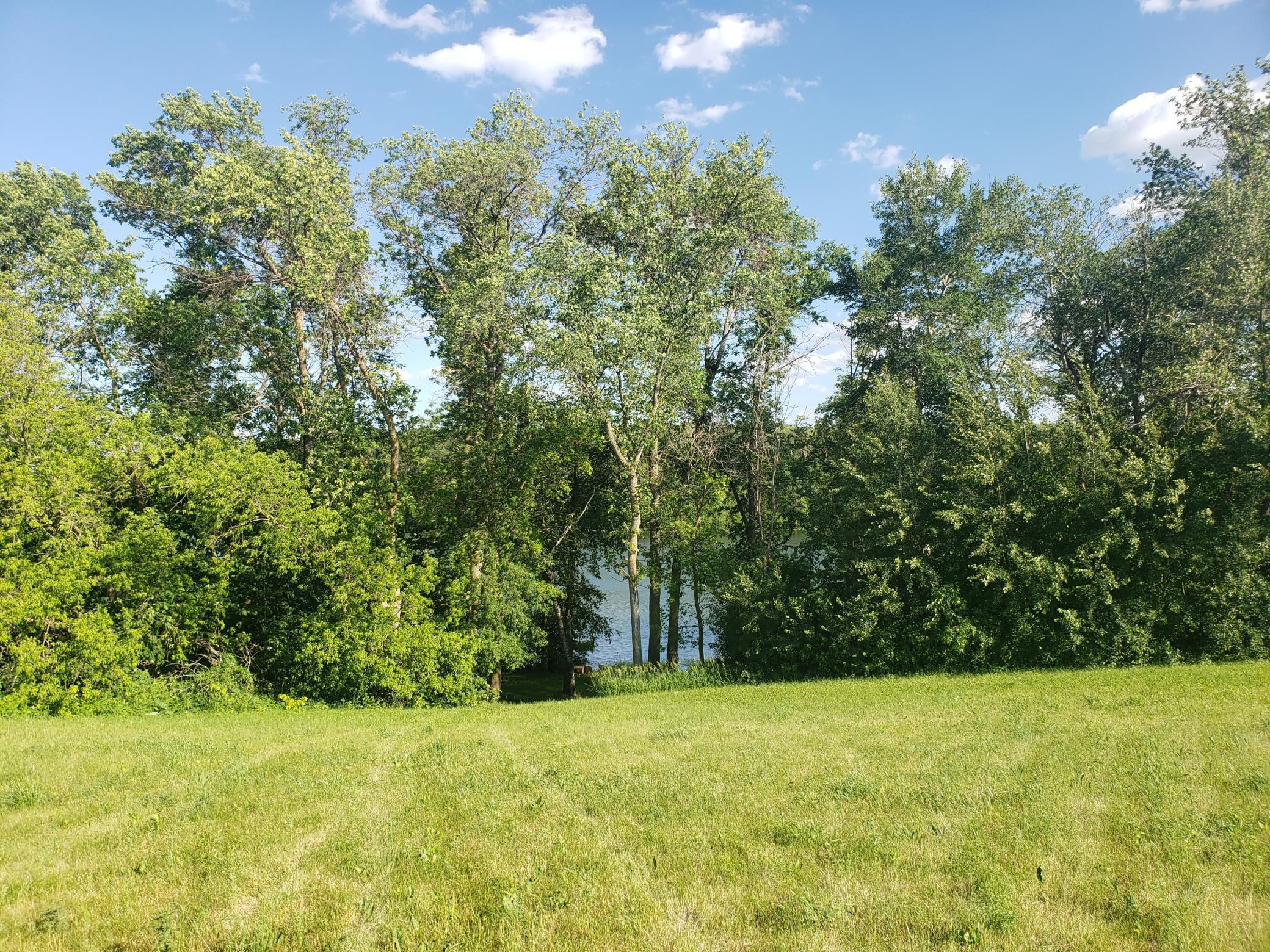 view from high point of lot