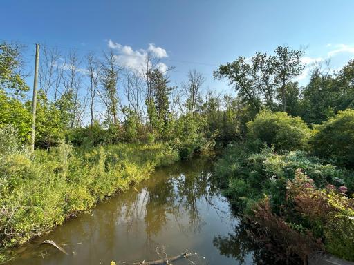 Tract 2: West Branch of the Warroad River