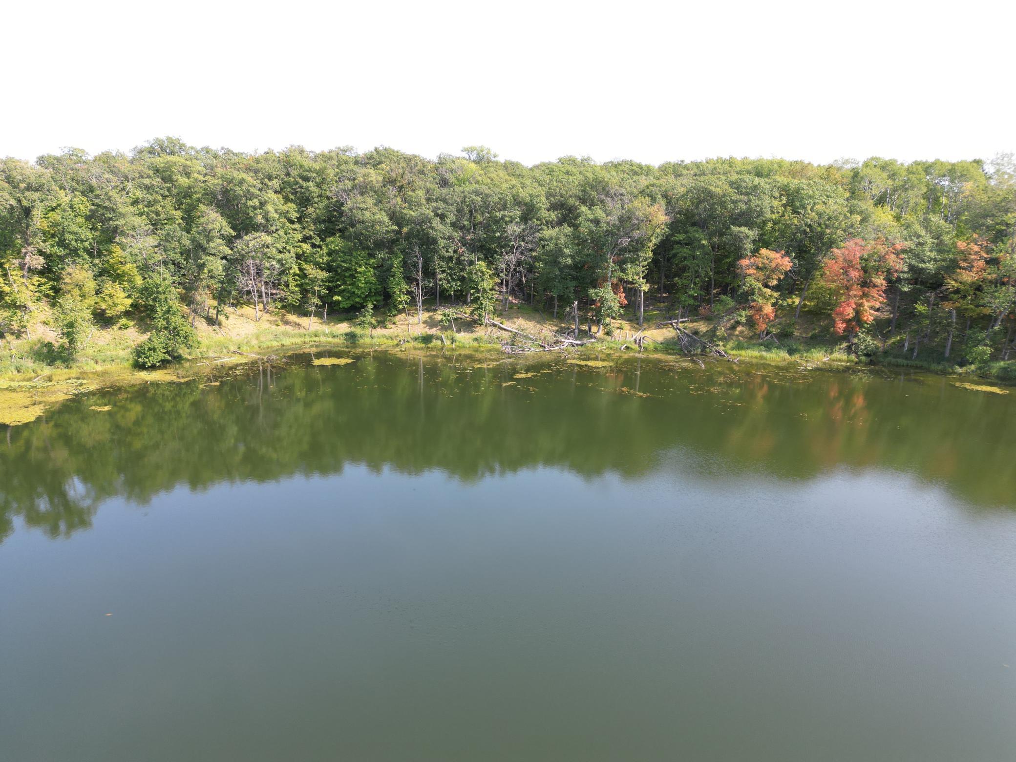 250 Feet Lake Frontage + -.JPG