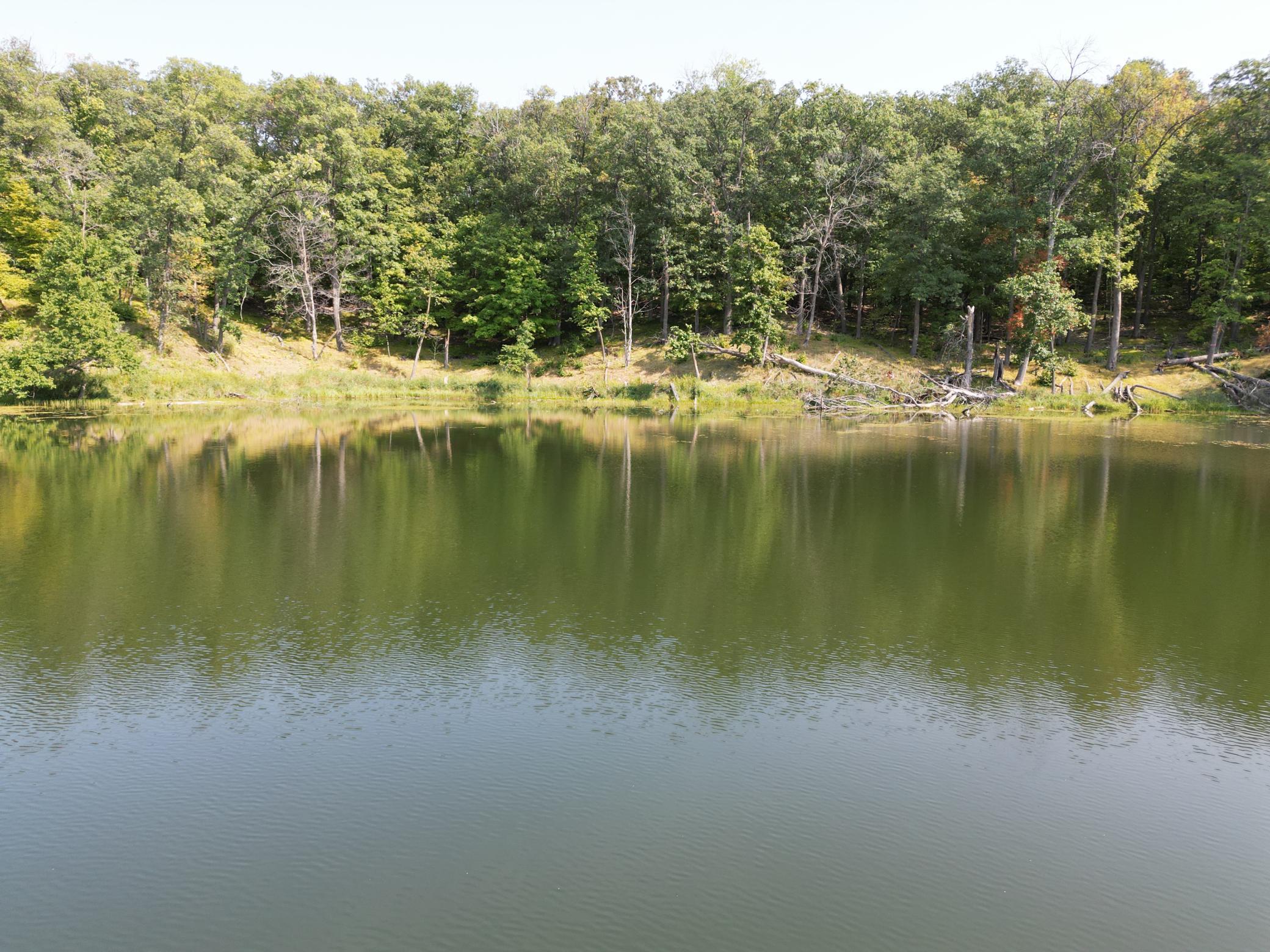 250 Feet Lake Frontage.JPG