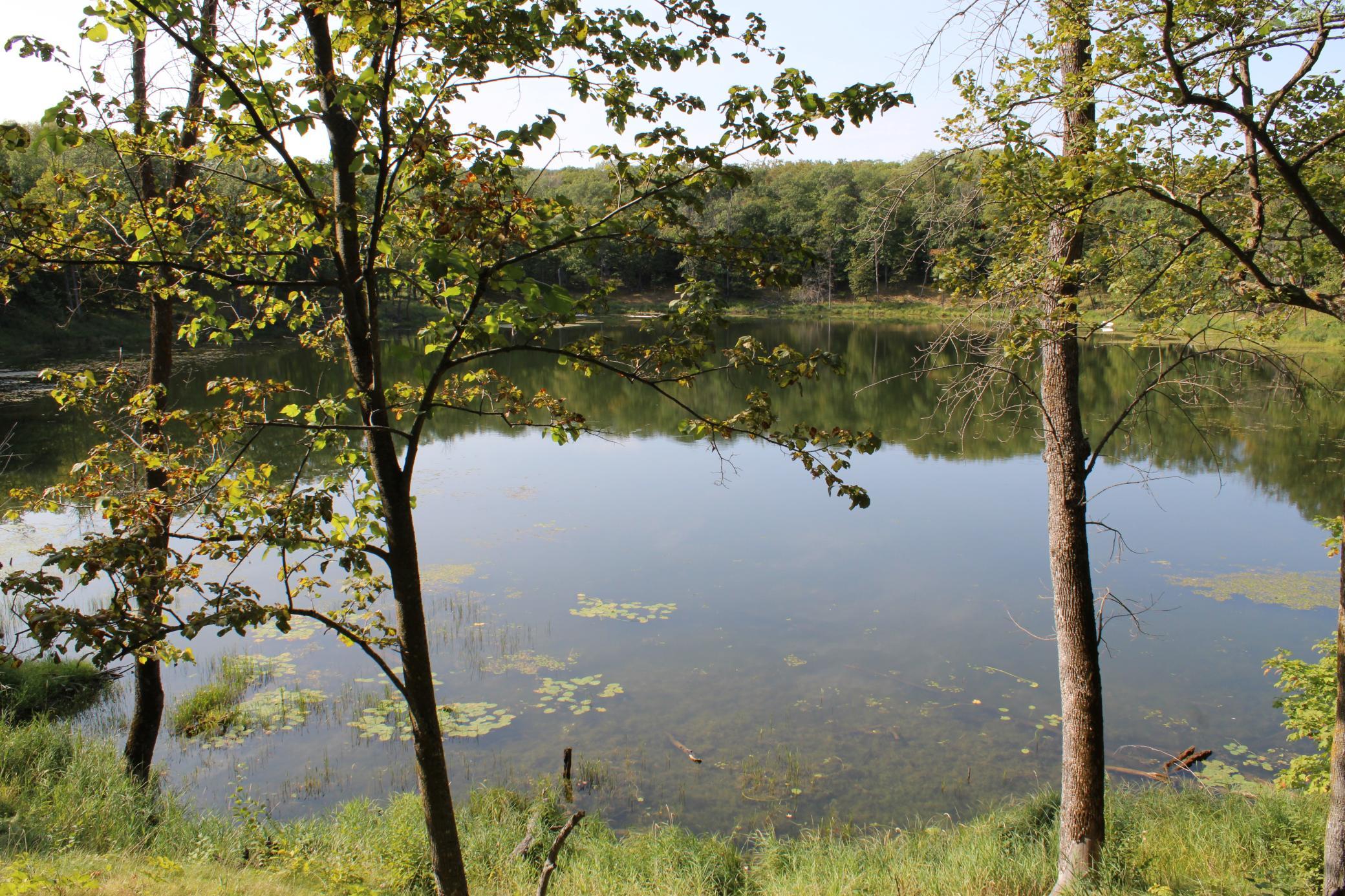 Small Private Lake.JPG