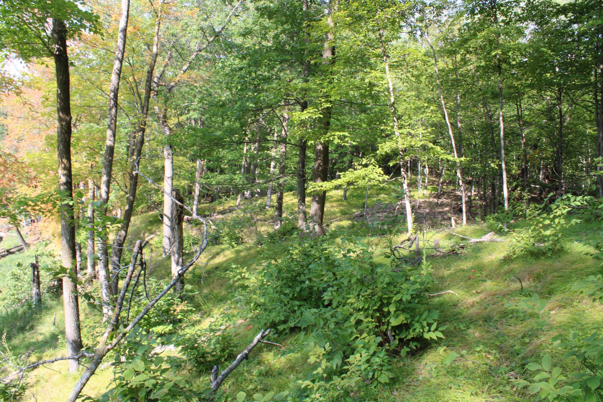 Small Ponds.JPG