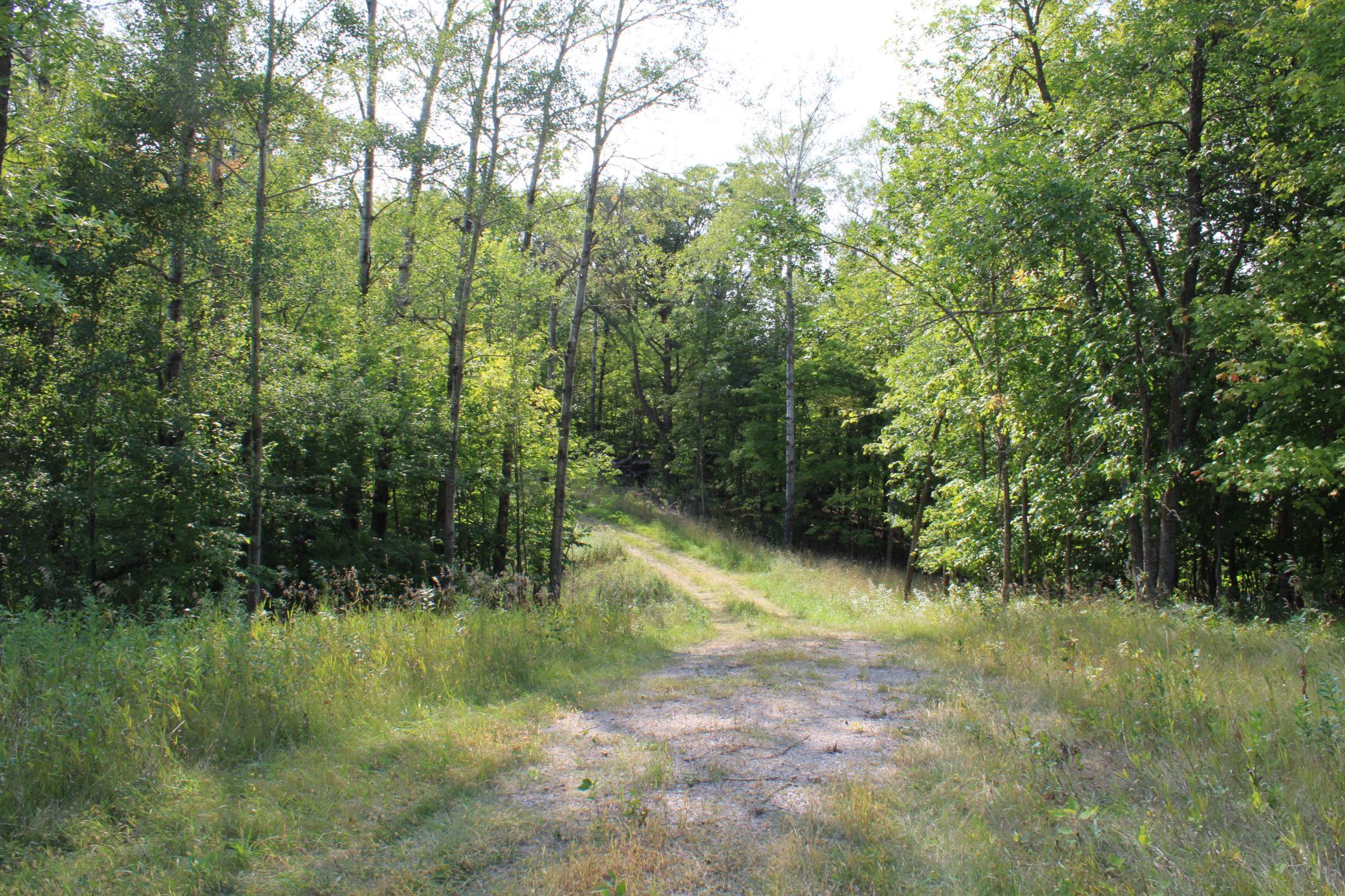 Established Road Across Property.JPG
