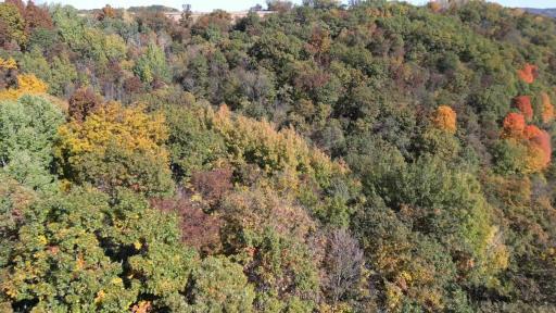Photo for TBD Breezy Dr, Houston, MN 55943 - Listing #6271530 TBD Breezy Dr, Houston, MN 55943