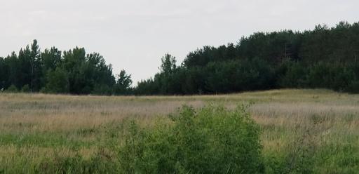 740 40th Street NE, Benson, MN 56215