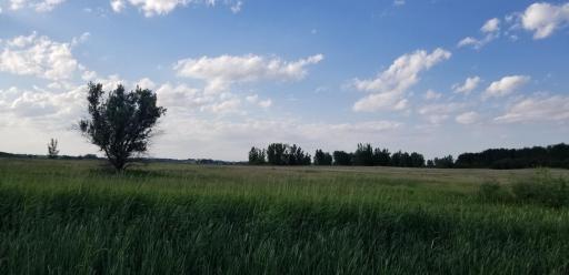 740 40th Street NE, Benson, MN 56215